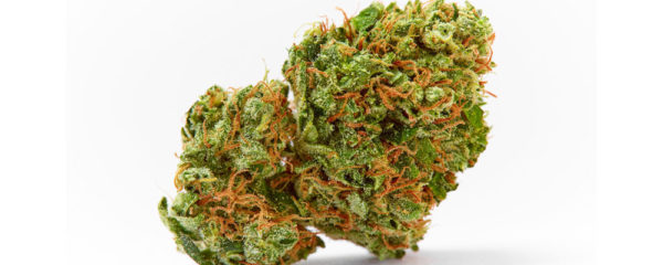 Fleur CBD